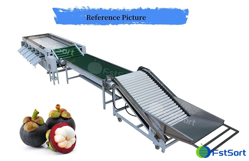 images/1710142548274mangosteen sorting grading machine.jpg